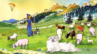 Chien de protection des troupeaux, un métier