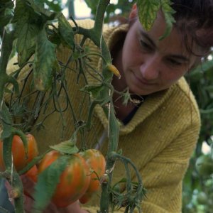 La Ferme de l'Abeille Verte