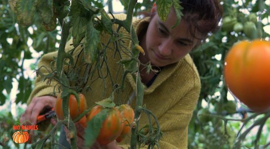 LaFermeDeLAbeilleVerte_abeille-verte.jpg