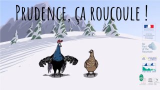 Prudence, ça roucoule !