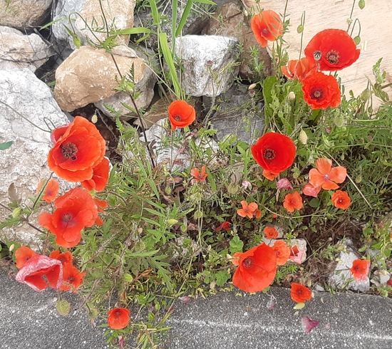 laure_20220222_220123.jpg