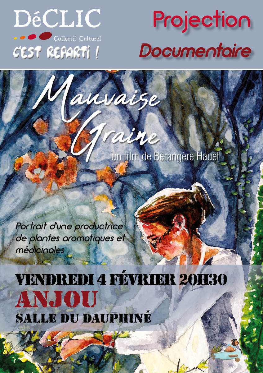 projectiondemauvaisegrainele4fevrieraan_mauvaise_graine_flyer_recto.jpg