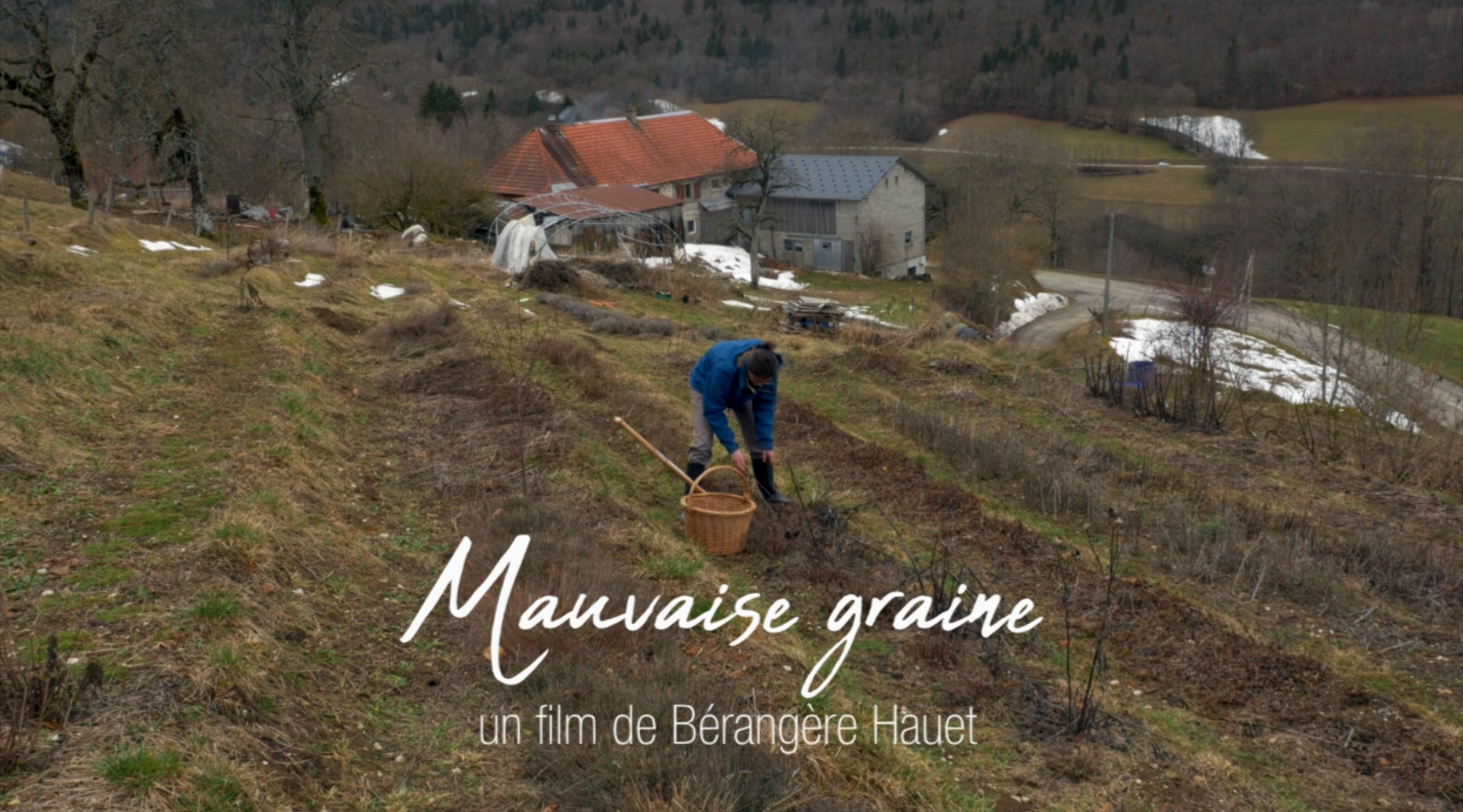 image mauvaise_graine01.jpg (1.0MB)