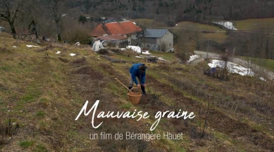 image mauvaise_graine01.jpg (1.0MB)